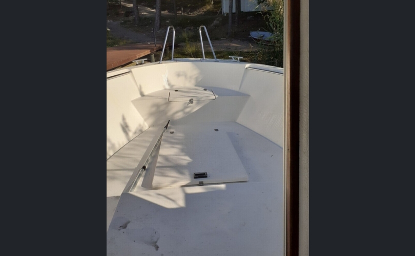 Bella Delphin-kuva-7